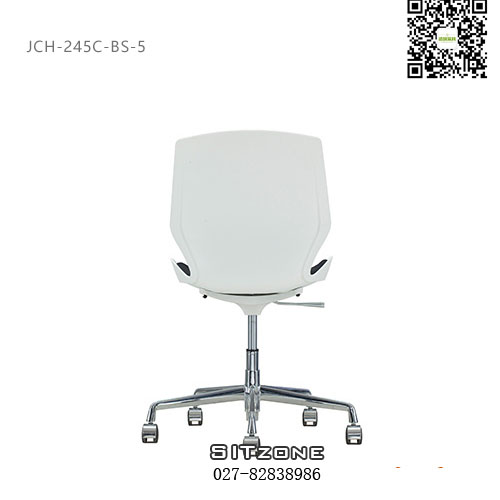 武汉电脑椅JCH-245C-BS-5后背图